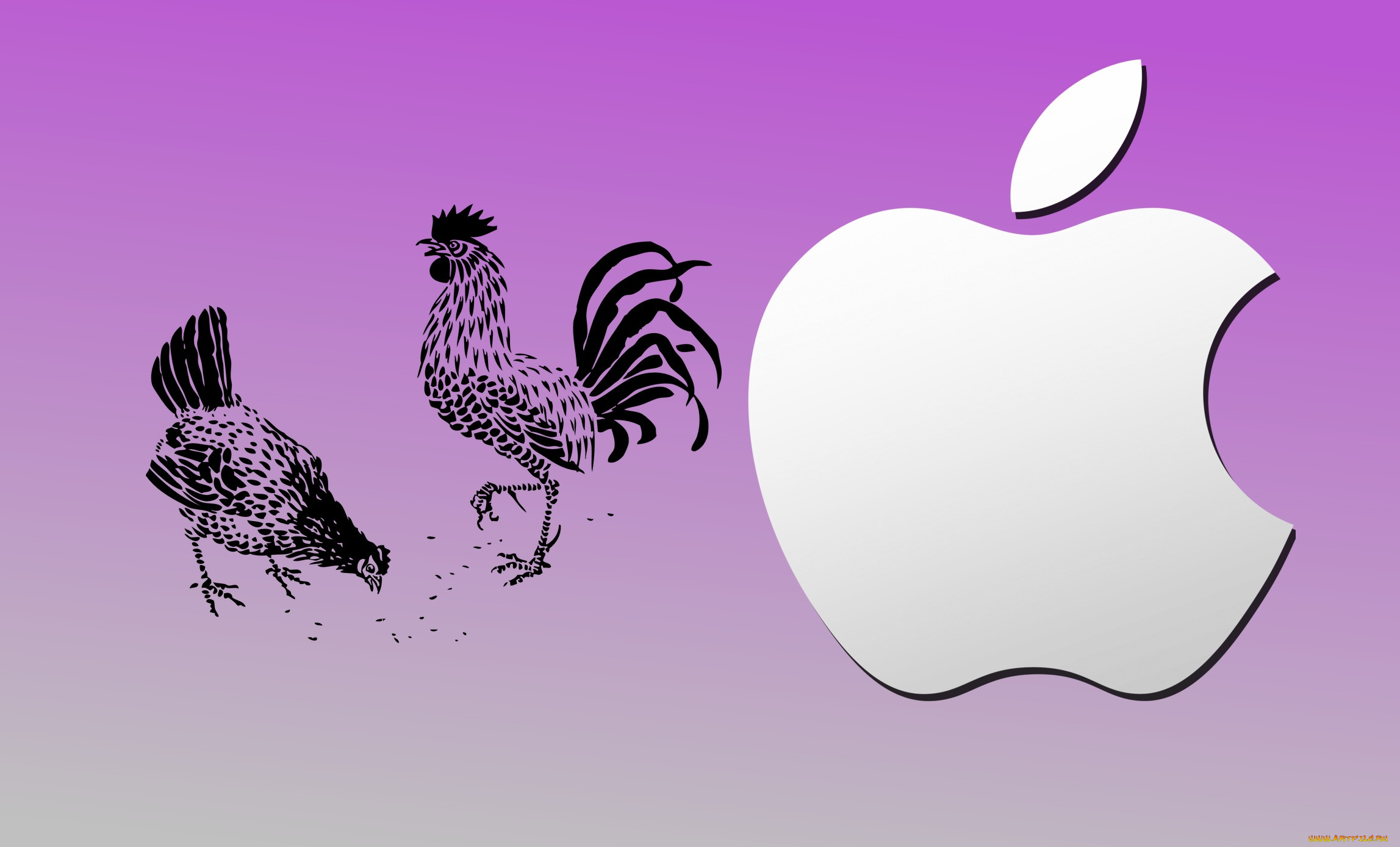 , apple, , 